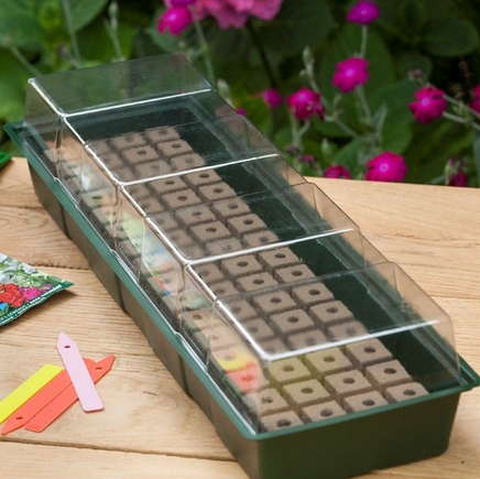 Mini serre hydroponique nature 49 x 15,5 cm 